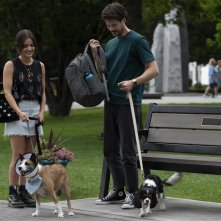 Una famiglia di cuccioli: una scena del film