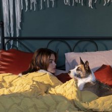 Una famiglia di cuccioli: una scena del film