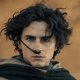 Timothée Chalamet si è rasato la testa per Dune 3?
