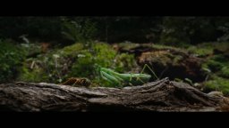 Wolf Man - Teaser trailer del reboot horror