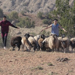 Rez Ball: Kauchani Bratt e Devin Sampson-Craig in un'immagine