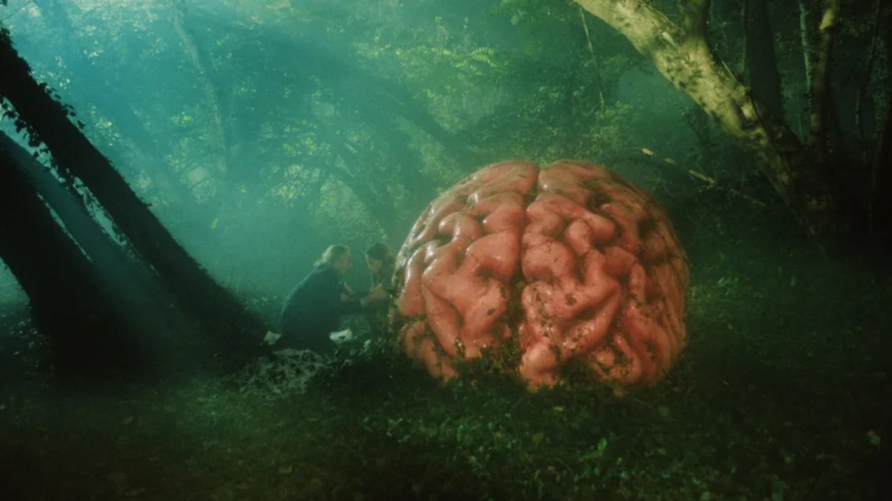 Un cervello nella foresta di Rumours