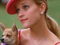 La Rivincita delle Bionde: aperto il casting per il ruolo di Elle Woods nella serie prequel