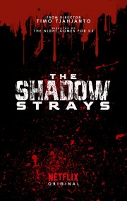 Locandina di The Shadow Strays