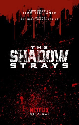 Locandina di The Shadow Strays