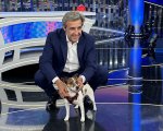 Famiglie d'Italia: la nuova sfida in tv di Flavio Insinna, inclusiva e coinvolgente