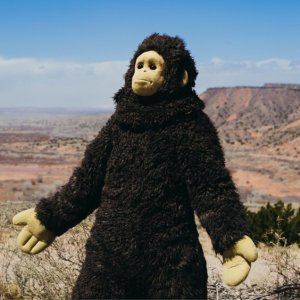 Sunlight: un frame del film