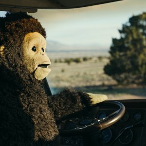 Sunlight: un'immagine del film