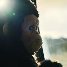 Sunlight: una scena del film