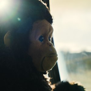 Sunlight: una scena del film