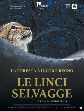 Locandina di Le linci selvagge