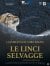 Le linci selvagge