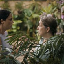 Querido trópico: una scena