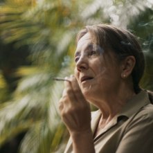 Querido trópico: una sequenza