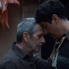 Polvo serán: Alfredo Castro in una foto