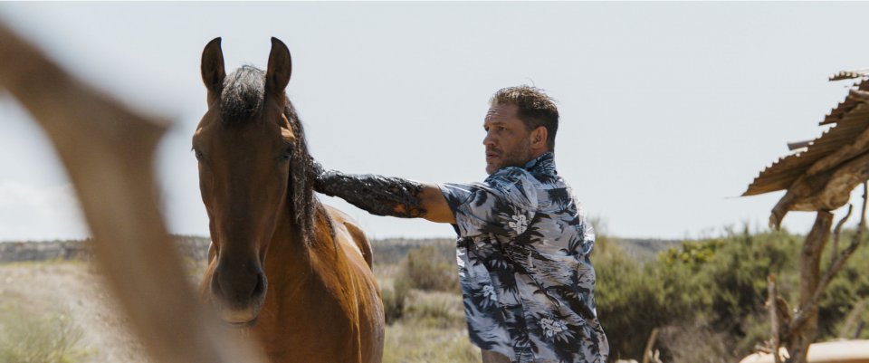 Venom The Last Dance Tom Hardy Foto