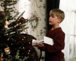 Mamma, ho perso l'aereo: Macaulay Culkin ha realmente tagliato un albero danneggiando la proprietà