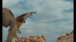 Paris, Texas - Trailer del film di Wim Wenders