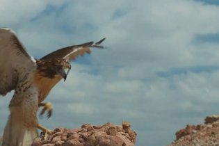 Paris, Texas - Trailer del film di Wim Wenders