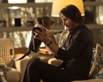 John Wick: dietro le quinte di un action culto lungo dieci anni