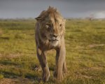 Mufasa: Il Re Leone, il final trailer mostra le origini del padre di Simba