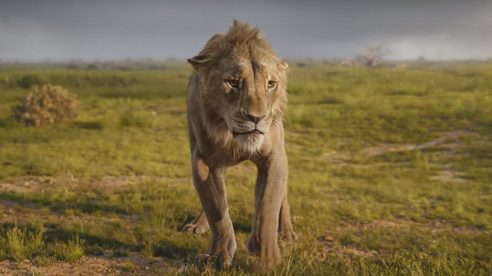 Un'immagine del trailer di Mufasa