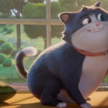 10 Lives - Un gatto fortunato: Beckett il gatto, in una scena