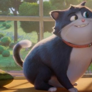 10 Lives - Un gatto fortunato: Beckett il gatto, in una scena