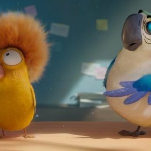 10 Lives - Un gatto fortunato: una scena del film animato