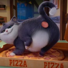 10 Lives - Un gatto fortunato: una sequenza del film