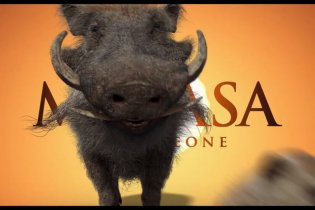 Mufasa: Il Re Leone - Final Trailer italiano del film Disney di Barry Jenkins