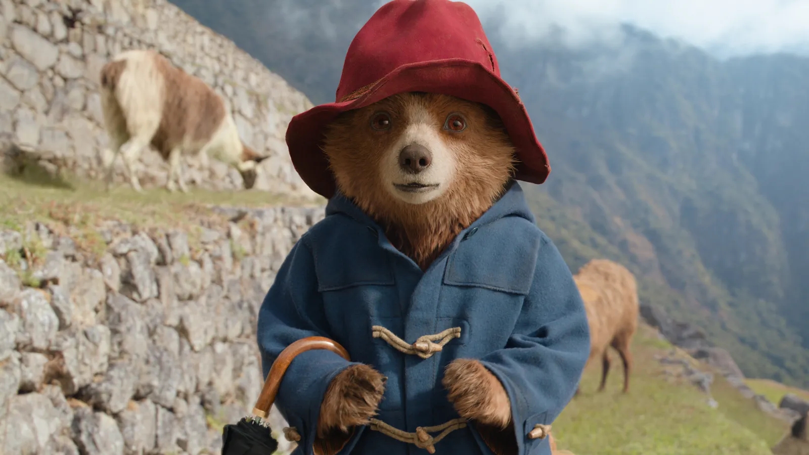 Paddington in Perù