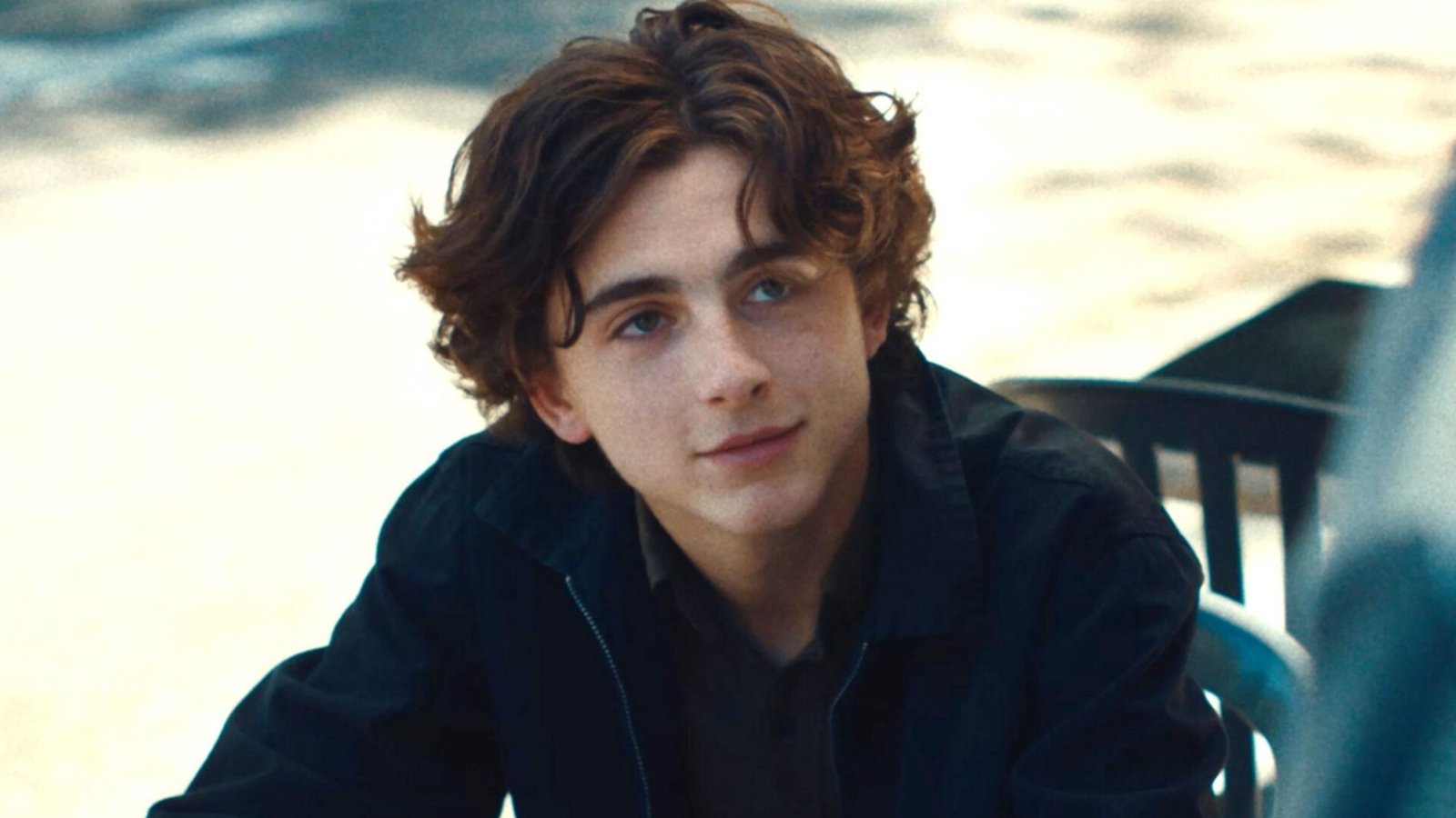 Una foto di Timothée Chalamet