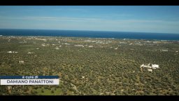 Il Patriarca 2: Intervista a Claudio Amendola