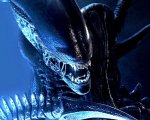 Disney+, primo sguardo a The Bear 4, al ritorno di Andor e alla nuova serie di Alien nel trailer