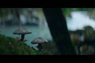 Wolf Man - Nuovo trailer del reboot horror