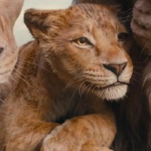 Mufasa: Il Re Leone - una foto del prequel