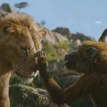 Mufasa: Il Re Leone - Mufasa e Rafiki in un'immagine