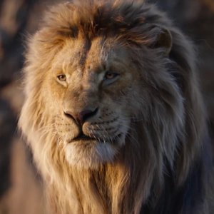 Mufasa: Il Re Leone - Un primo piano di Mufasa