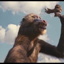 Mufasa: Il Re Leone - Il saggio Rafiki in una scena