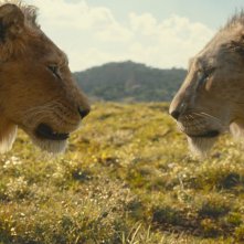 Mufasa: Il Re Leone - Una scena del film