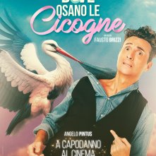 Locandina di Dove osano le cicogne