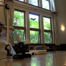 Hayao Miyazaki e l'airone: una sequenza del documentario