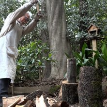 Hayao Miyazaki e l'airone: il Maestro mentre spacca la legna