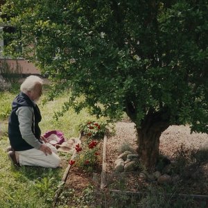 In ultimo: una scena del documentario