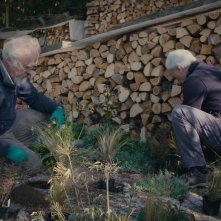 In ultimo: una foto del documentario