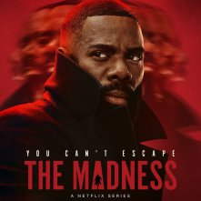 Locandina di The Madness