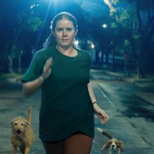 Nightbitch: Amy Adams in una foto