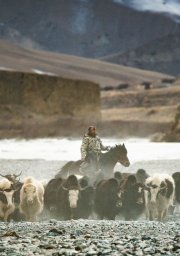 Locandina di Territory