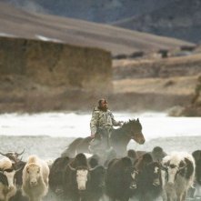 Locandina di Territory